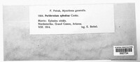 Image Associated With the Occurence